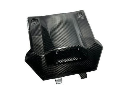2020-24 POLARIS RZR PRO XP / PRO R HOOD - V1 CARBON FIBER